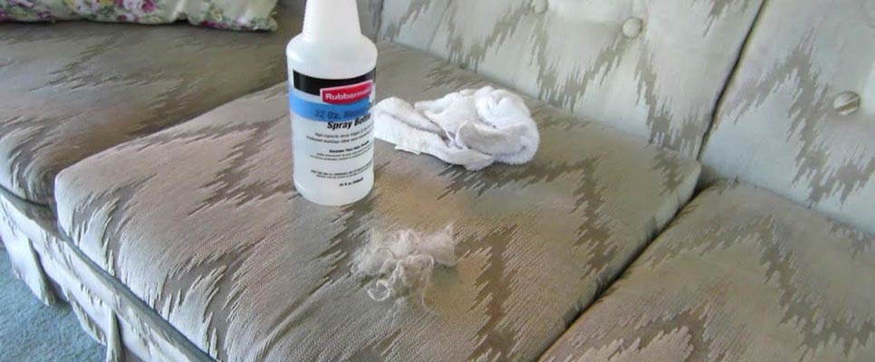 How To Remove Cat Hair From Couch